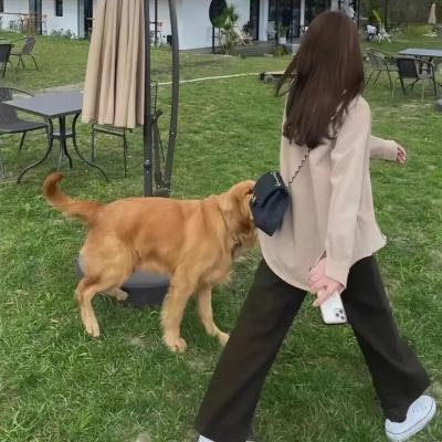 迈克尔·杰克逊：就是这样