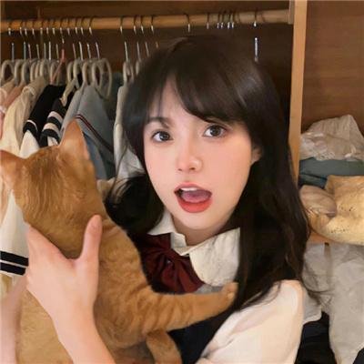 魔法师的猫